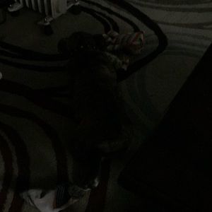 Meet your Posher, Orlanda